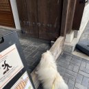 이리중앙초등학교 | 전주 한옥마을 한복 대여 애견동반 가능한 이리오너라 꿀팁