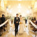 스테이그라피 이미지