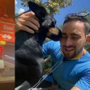 테오종합동물병원 이미지