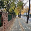 삼환연립 | #인천찜질카페 편백에 반하다 내돈내산 셀파찜질후기
