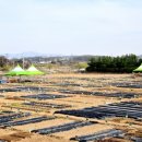 파주농장 이미지