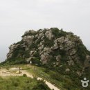 완도항구 이미지