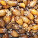 농업회사법인 주식회사 팜스 이미지