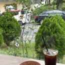 탕궁샤브 이미지