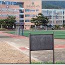 청도군청 앞 이미지