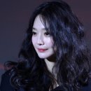 현애견미용실 이미지