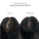 헤어팡팡&가발 이미지