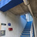 포도향기 | 대부도 개별마당 있는 독채 애견동반 포도향기펜션 캠벨룸 후기