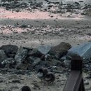 가을노을B | 태안 사목공원캠핑장 B1 후기, 바다와 노을 모두 즐길 수 있는 곳