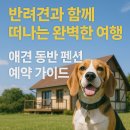 777셀프세차장 | 반려견과 함께 떠나는 완벽한 여행, 애견 동반 펜션 예약 가이드