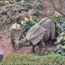 공룡박물관 이미지