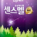 kcc페인트 | KCC페인트 센스멜 골드 에나멜 후기!
