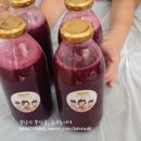 (주)포도스튜디오 이미지