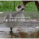 가온약국 | 서울 구로구 소아과 소개와 방문 시 체크해야 할 사항 안내 - 최신