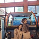기분좋은여행 - 서구 대덕대로 223 | 하늘 위를 걷는 기분 평창 【발왕산케이블카】 여행후기