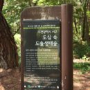 배재로197번길 이미지