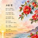 고운 벗 이미지