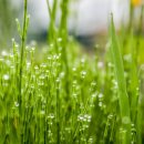 그해 여름 이미지