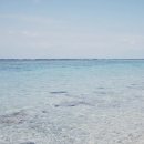 월정뷰게스트하우스코난비치대여점 | 제주 코난해변 스노클링 대여 월정리해수욕장 코난비치 온수샤워 파라솔 대여 월정뷰게스트하우스