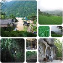 감동정비 올레 이미지