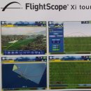 수목 스크린 이미지