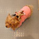 기린동물병원 이미지