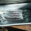 국도25호선 | 통영 갈치낚시, 새바지낚시, 오아시스호, 국도, 대마도, 매물도, 연화도, 1박2일 갈치낚시, 여수 돌산항...