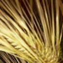 당감초등학교 이미지