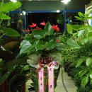 (주)해피나무 이미지