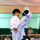 용인대스타태권도 이미지