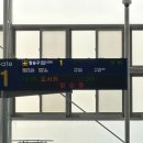 이루텍스 | 국제선 출발 40분 전 공항도착 출발 후기 ㅣ일본 나리타 항공 입국심사 프리패스 후기 l 일본 여행 꿀팁...