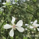 꽃생각 - 수성구 청수로 258 | 꽃생각