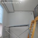 신트리로 이미지