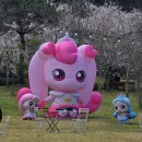 어린이 미술 | 영암 왕인문화축제 벚꽃 개화 상황 지금 가야 하는 전남 벚꽃 명소 후기