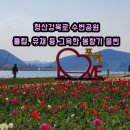 형산강북로 이미지