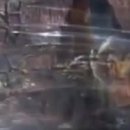 호범농장 이미지