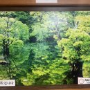 심이네 꽁보리밥 이미지