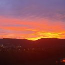 비타민나무의원 이미지