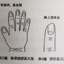손톱 을 보고 병을 아는법 (2편) 이미지