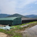시전마을회관 - 1549 | 시전마을회관