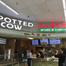 시온반점 이미지