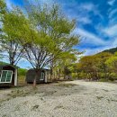 유명산밸리 캠핑장 이미지