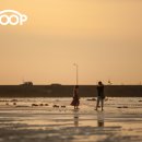 세화리해수욕장 이미지