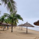 바닷가 풍경 이미지