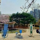 비둘기공원 티스토리