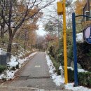 코코온누리약국 이미지