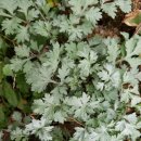 육남매농장 이미지