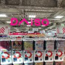 터미널오락실 | 후쿠오카 DAY 5_하카타역에서 뭐 하지?｜다이소 털기 &amp; 남코 오락실 구경 후기