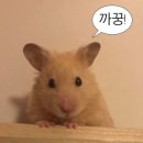 심휘트니스 이미지