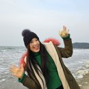 춘장대해수욕장